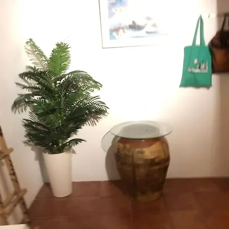Casa De Conchas Vista Al Mar Tatil Evi Peñíscola